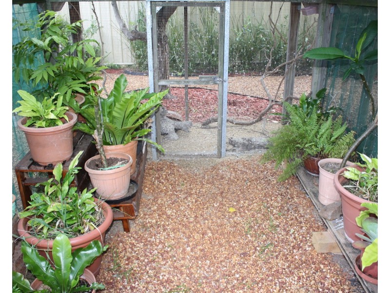 149 Percy St, Warwick QLD 4370