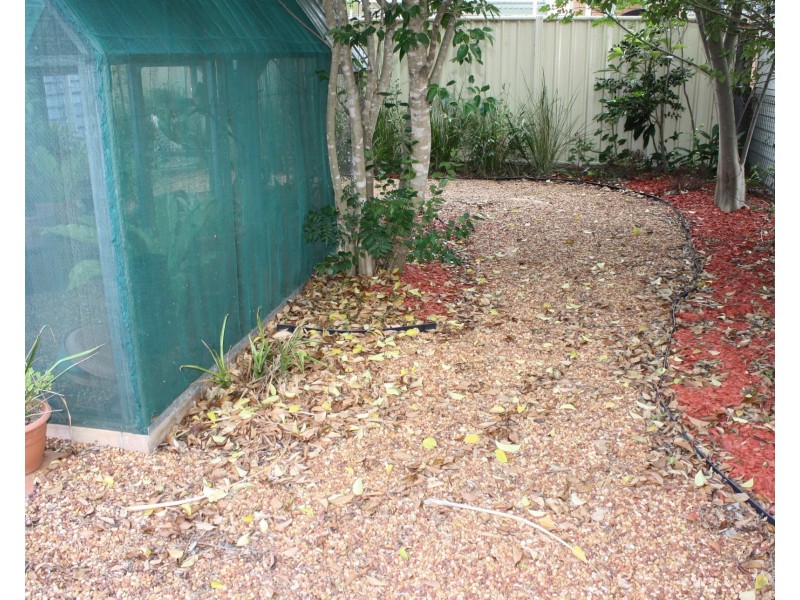 149 Percy St, Warwick QLD 4370