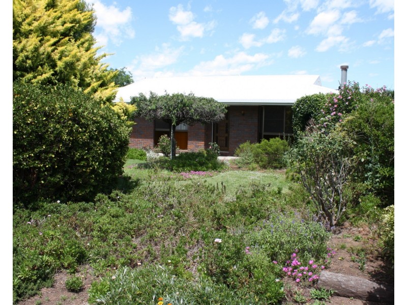 20 Raff St, Allora QLD 4362