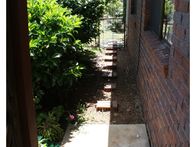 20 Raff St, Allora QLD 4362