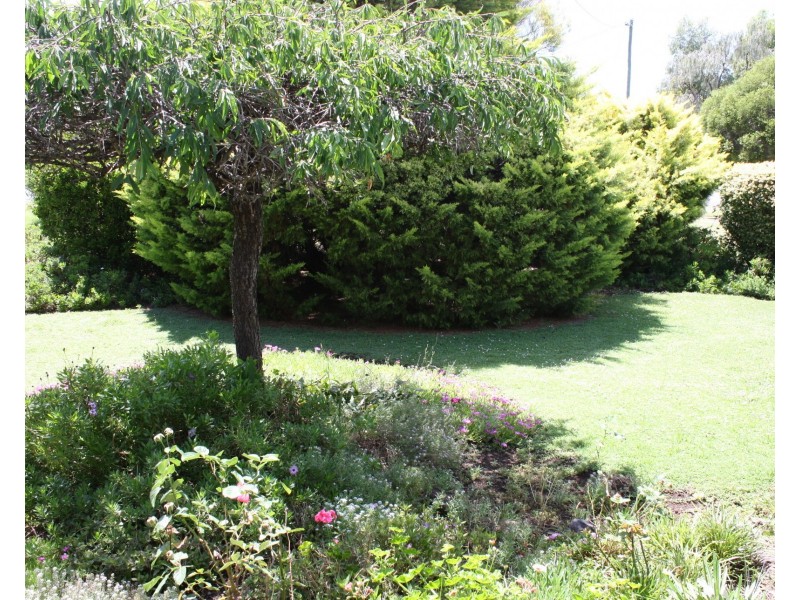 20 Raff St, Allora QLD 4362