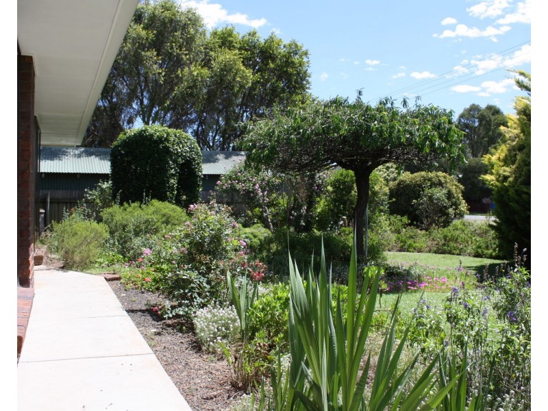 20 Raff St, Allora QLD 4362