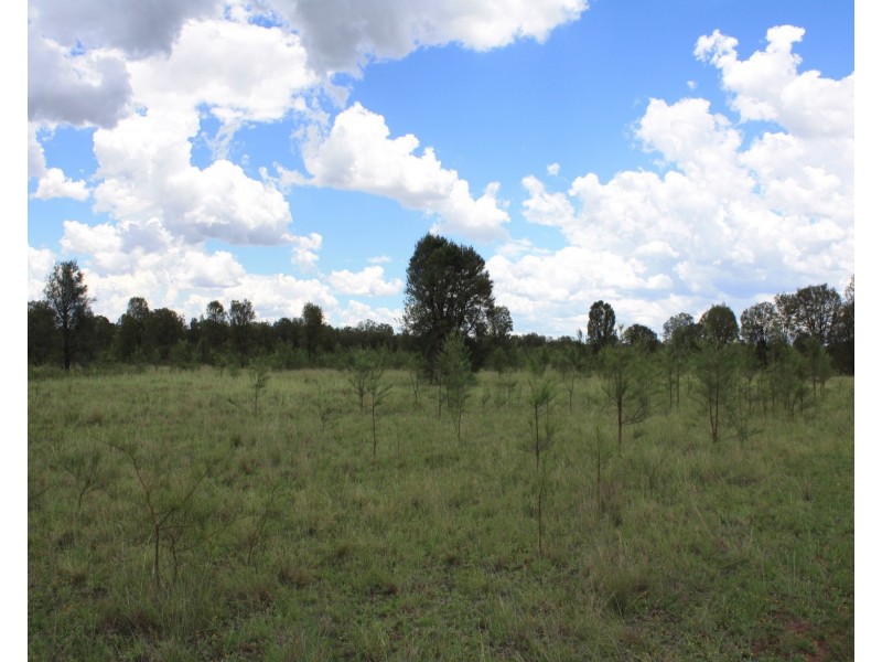 Lot 12 Macquarie Dr, Leyburn QLD 4365