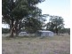 1476 Wickham Road, Thanes Creek QLD 4370