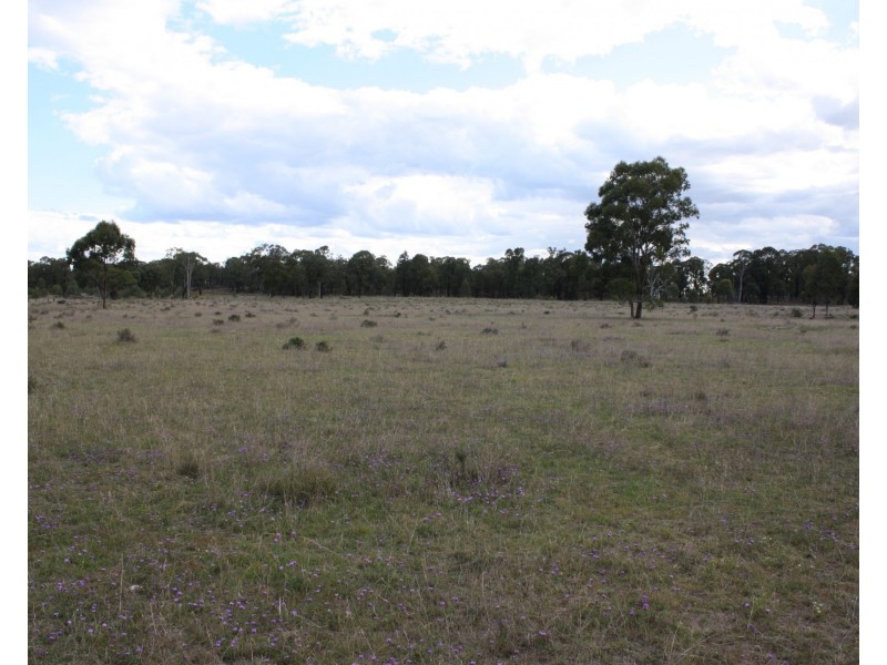 1476 Wickham Road, Thanes Creek QLD 4370