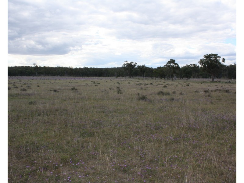 1476 Wickham Road, Thanes Creek QLD 4370