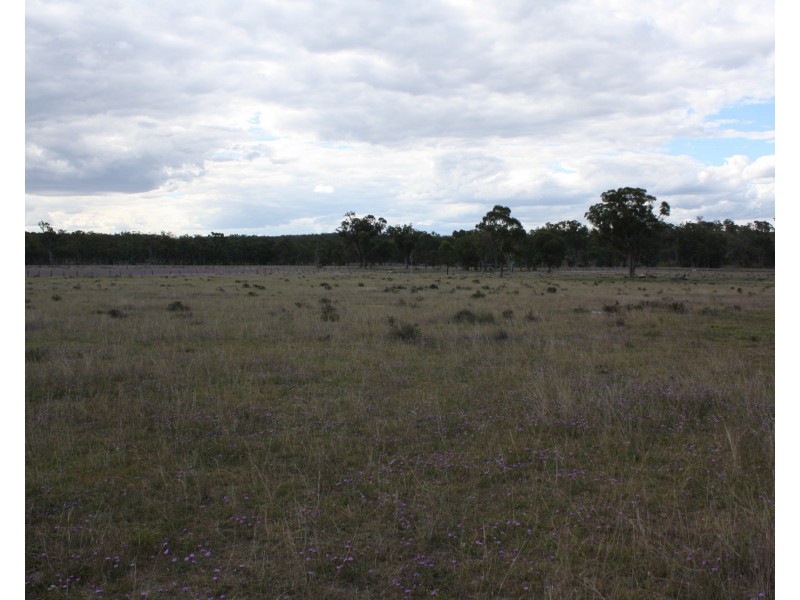 1476 Wickham Road, Thanes Creek QLD 4370