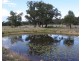 Lot 1 Leyburn Forestry Road, Thanes Creek QLD 4370