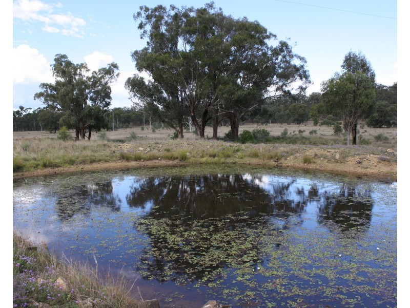 Lot 1 Leyburn Forestry Road, Thanes Creek QLD 4370