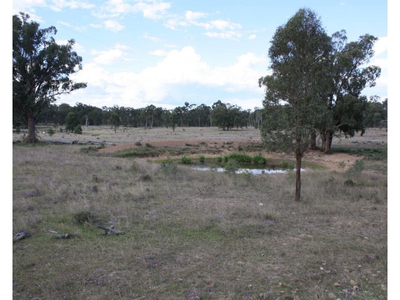 Lot 1 Leyburn Forestry Road, Thanes Creek QLD 4370