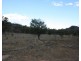 Lot 1 Leyburn Forestry Road, Thanes Creek QLD 4370