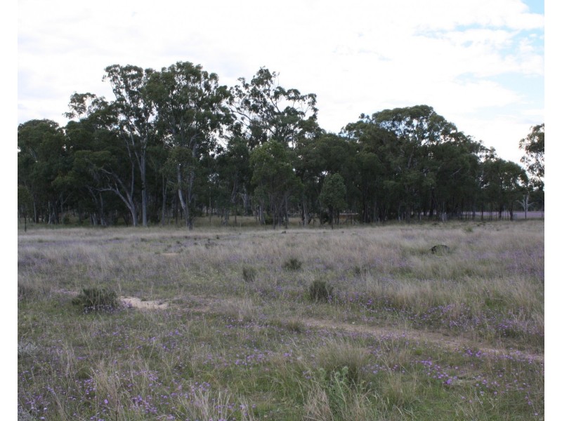 Lot 1 Wickham Road, Thanes Creek QLD 4370