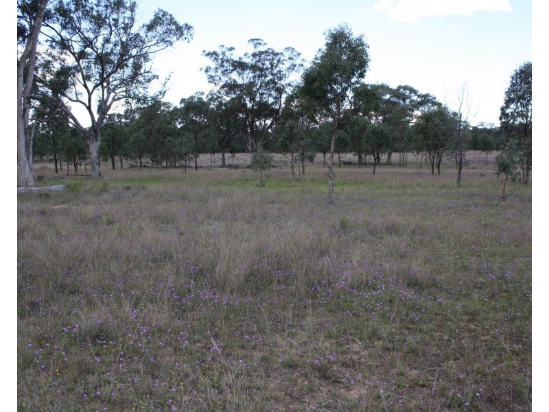 Lot 1 Wickham Road, Thanes Creek QLD 4370