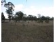 Lot 16 Wickham Road, Thanes Creek QLD 4370