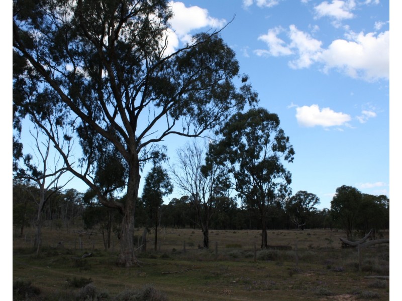 Lot 16 Wickham Road, Thanes Creek QLD 4370