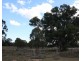 Lot 16 Wickham Road, Thanes Creek QLD 4370