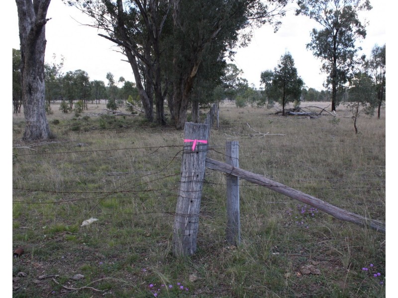 Lot 16 Wickham Road, Thanes Creek QLD 4370