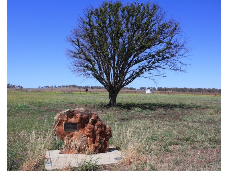 Lot 164 Willowvale Road, Willowvale QLD 4370