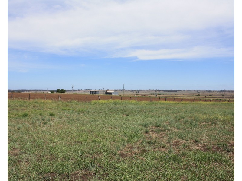 Lot 164 Willowvale Road, Willowvale QLD 4370