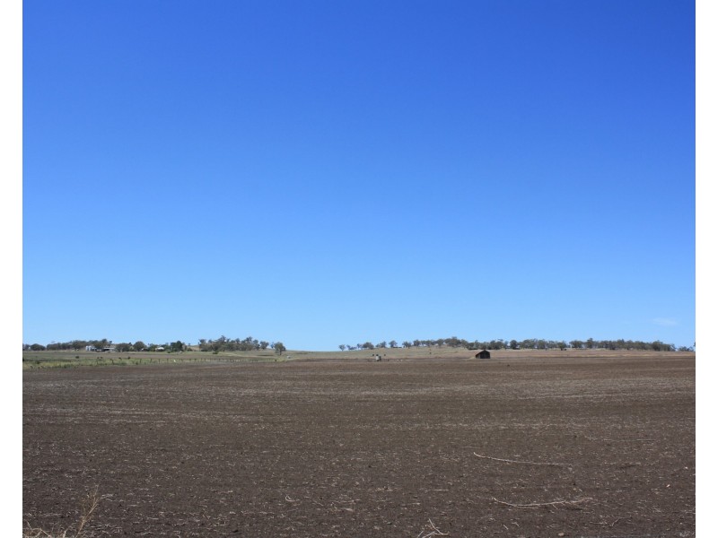 Lot 164 Willowvale Road, Willowvale QLD 4370