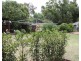 46 Arnold St, Allora QLD 4362