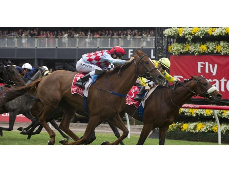 19 Crown Street, Footscray VIC 3011