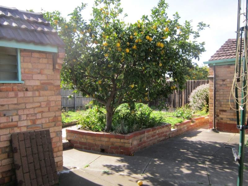 12 Adeney Street, Yarraville VIC 3013