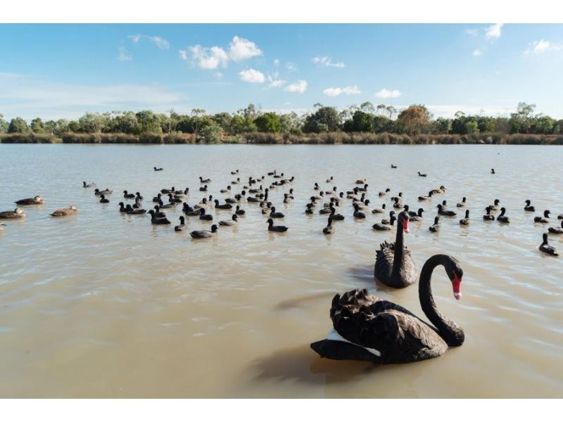 30 Moondarra Drive, Berwick VIC 3806