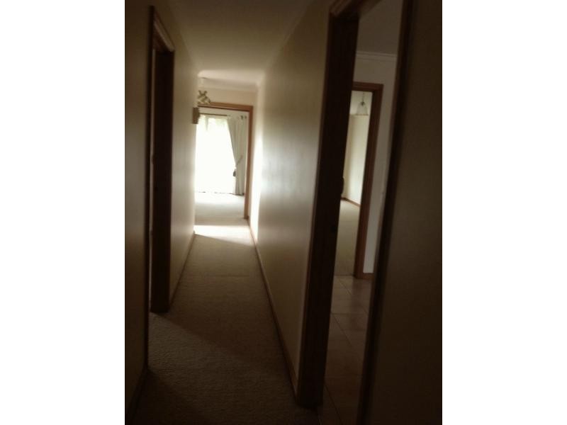 Unit 4/47 Dorking Road, Box Hill VIC 3128