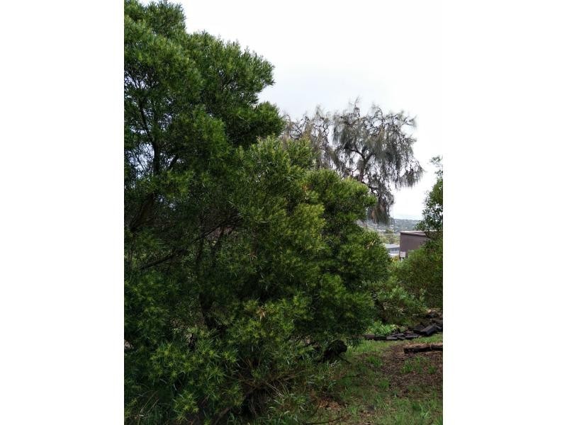 57 St Andrews Avenue, Rosebud VIC 3939