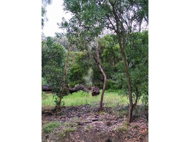 57 St Andrews Avenue, Rosebud VIC 3939