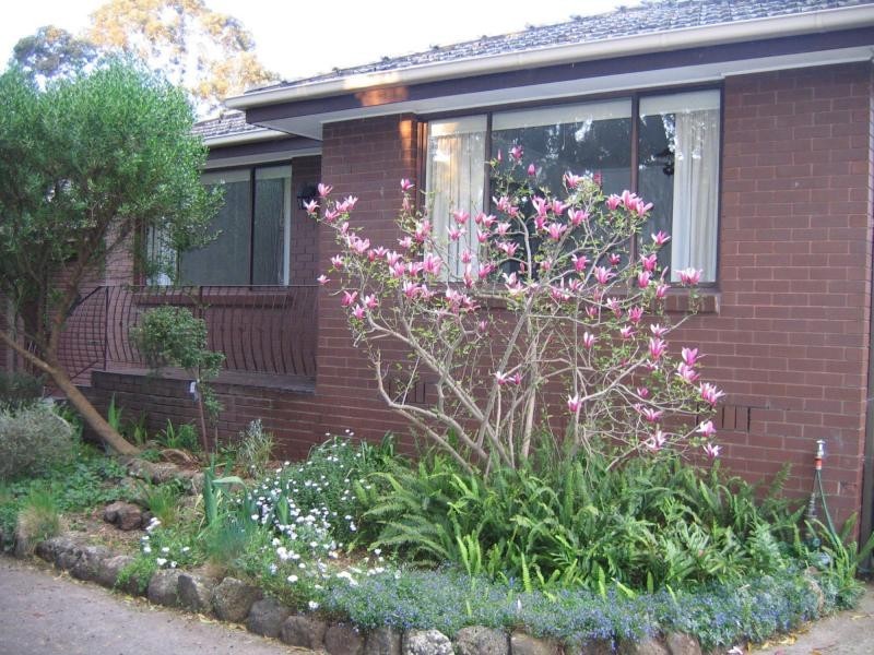 Unit 2/3 Fairy Street, Ivanhoe VIC 3079