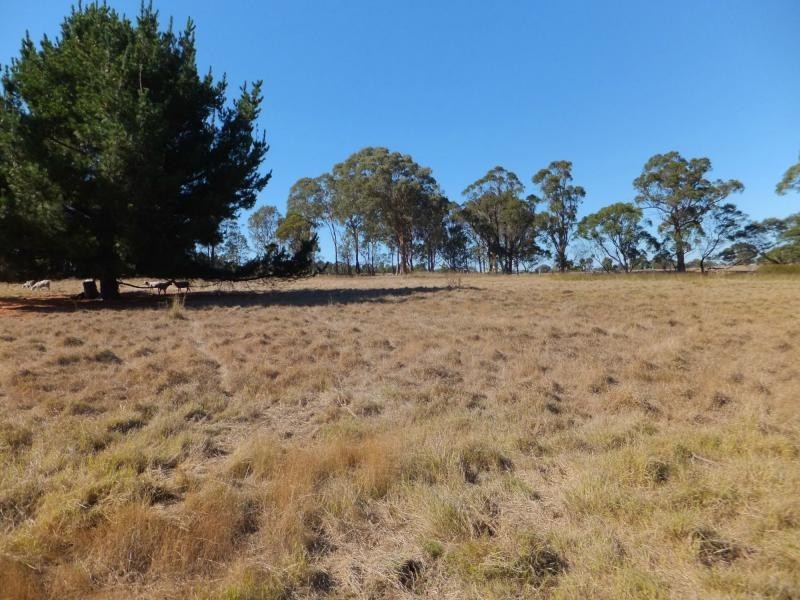 180 Fernbank Lindenow South Road, Lindenow South VIC 3875