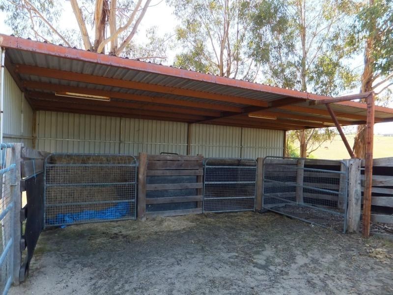 50 Orrs Road, Bairnsdale VIC 3875