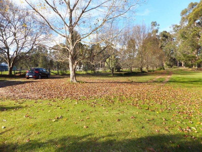 181 Monaro Highway, Cann River VIC 3890
