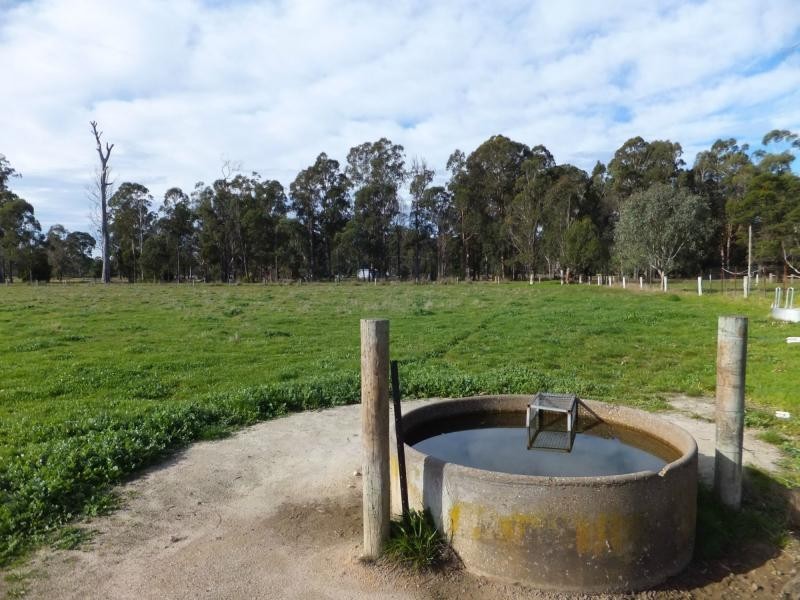 181 Monaro Highway, Cann River VIC 3890