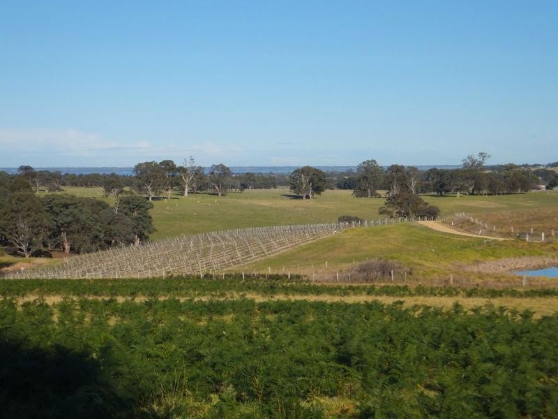 Lot 2 CS1579K Liddells Road, Nicholson VIC 3882