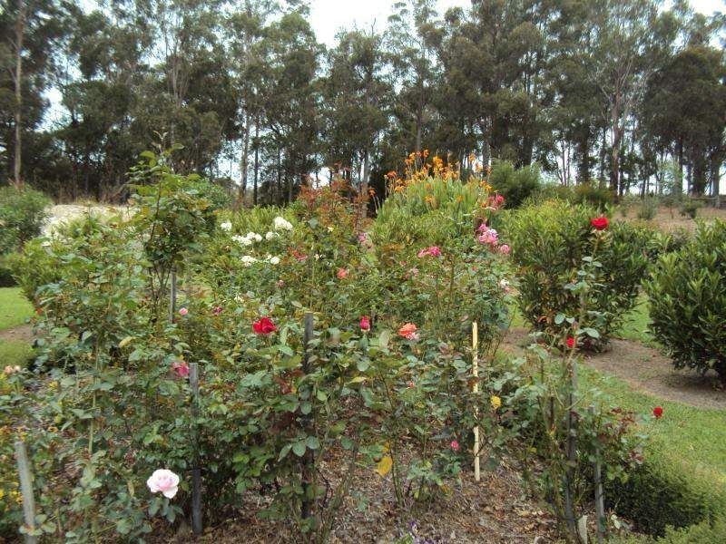 75 Tices Road, Mount Taylor VIC 3875