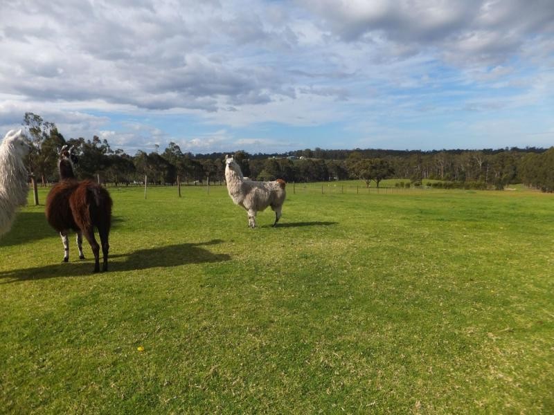 273 Stephenson Road, Nicholson VIC 3882