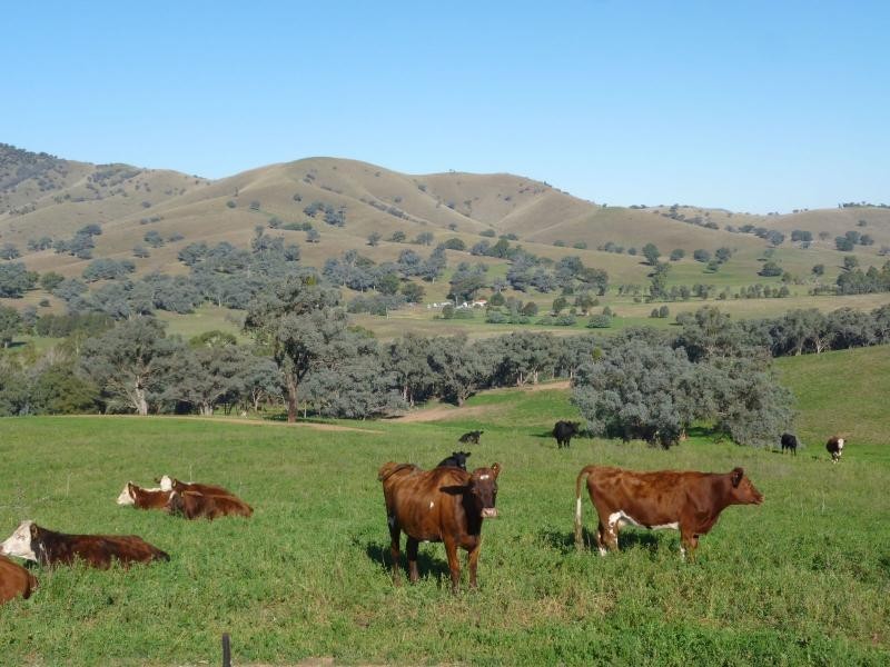 7485 Great Alpine Road, Swifts Creek VIC 3896