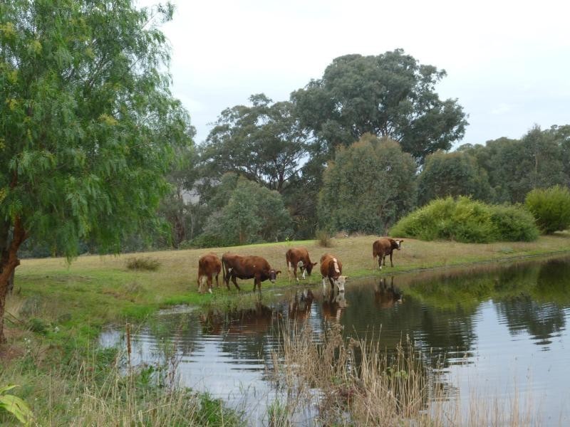 7485 Great Alpine Road, Swifts Creek VIC 3896