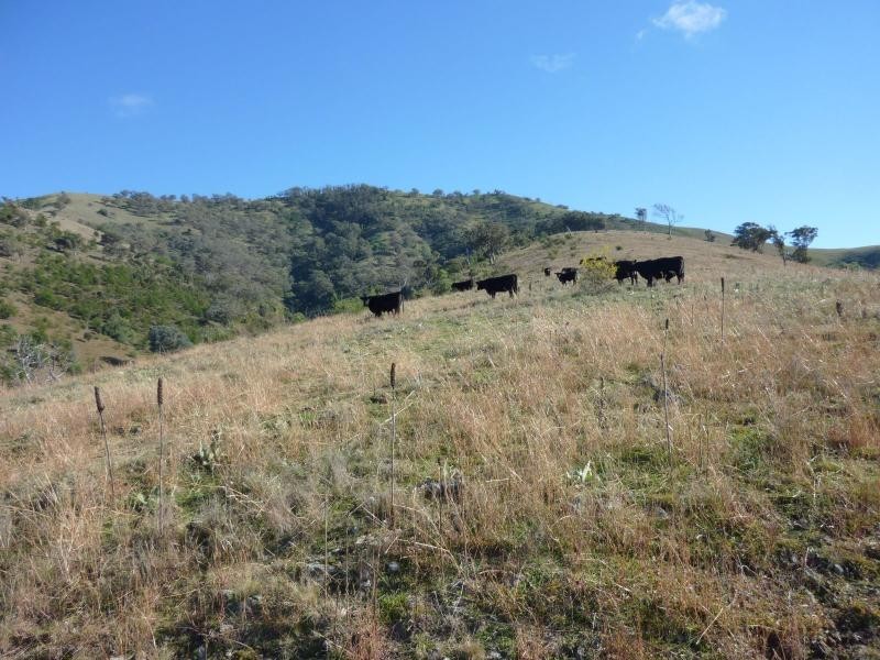 7485 Great Alpine Road, Swifts Creek VIC 3896