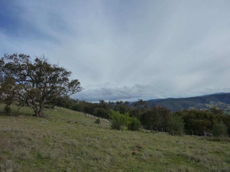 7485 Great Alpine Road, Swifts Creek VIC 3896