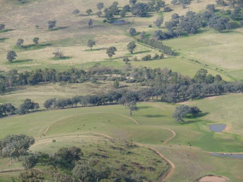 7485 Great Alpine Road, Swifts Creek VIC 3896