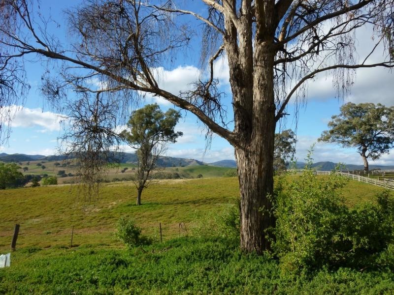 7485 Great Alpine Road, Swifts Creek VIC 3896