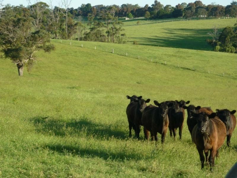 125 Cornwalls Road, Nungurner VIC 3909