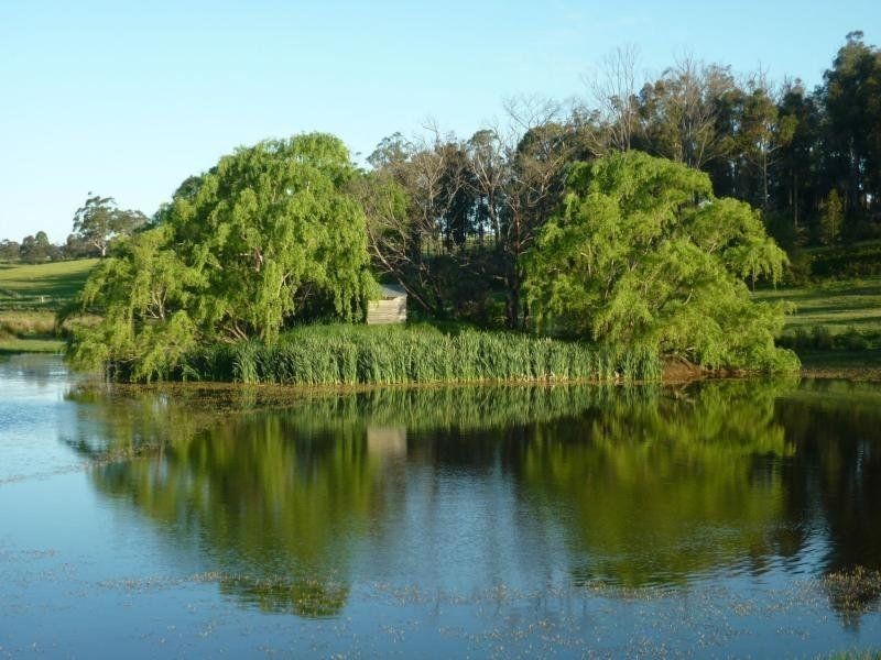 125 Cornwalls Road, Nungurner VIC 3909