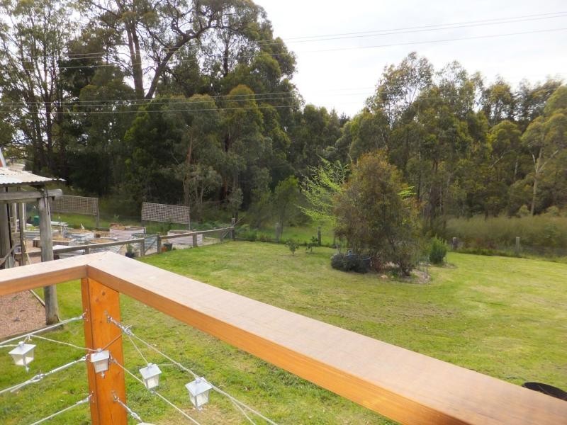 320 Great Alpine Road, Bruthen VIC 3885