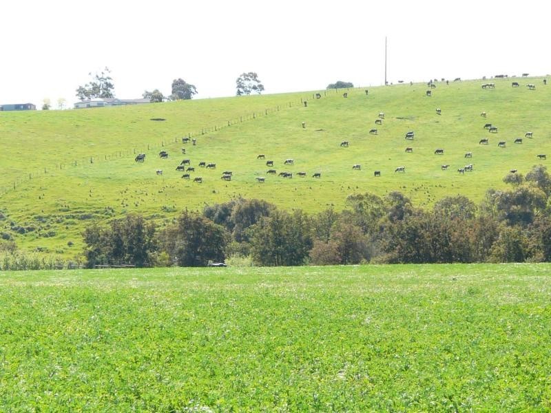 39-42 Mitchell River Flat Road, Bairnsdale VIC 3875