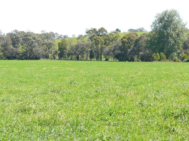 39-42 Mitchell River Flat Road, Bairnsdale VIC 3875